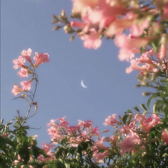 Meet your Posher, Aisha - Picture 1 of 1